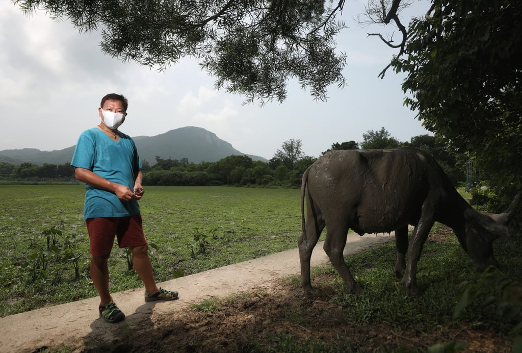 Eddie Tse is waiting to hear about legal aid for his challenge. Photo: Xiaomei Chen