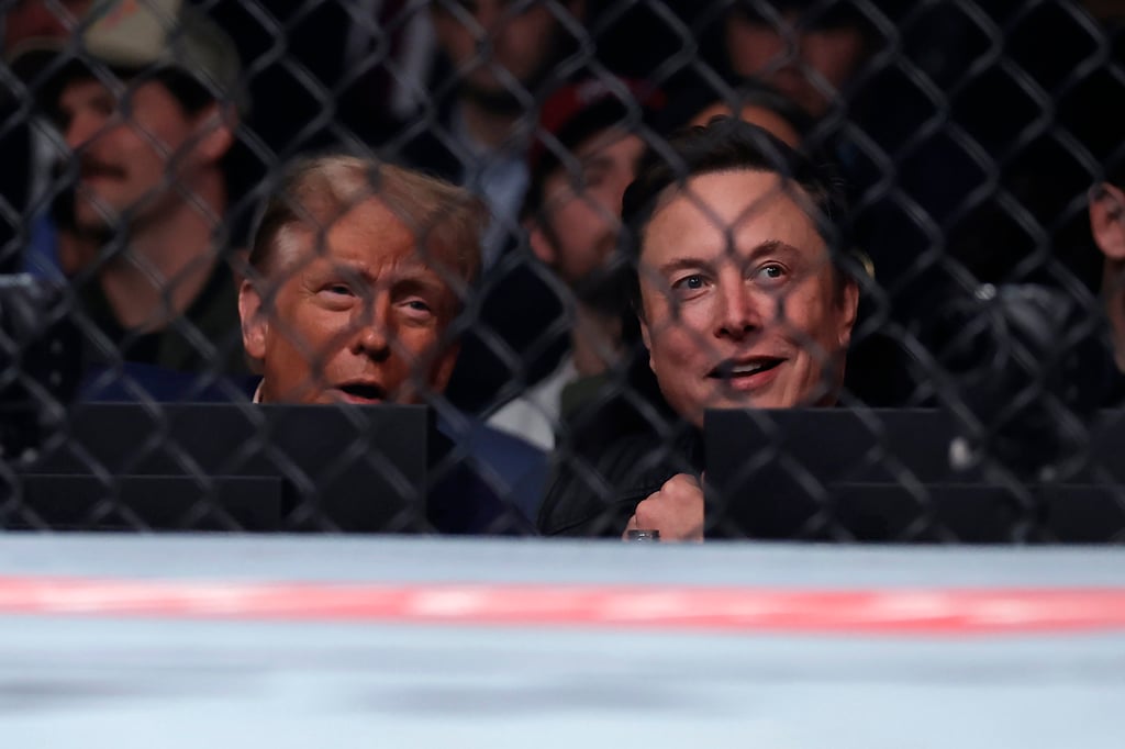 President-elect Donald Trump and Elon Musk watch a UFC fight in New York. Photo: AP President-elect Donald Trump and Elon Musk watch a UFC fight in New York. Photo: AP