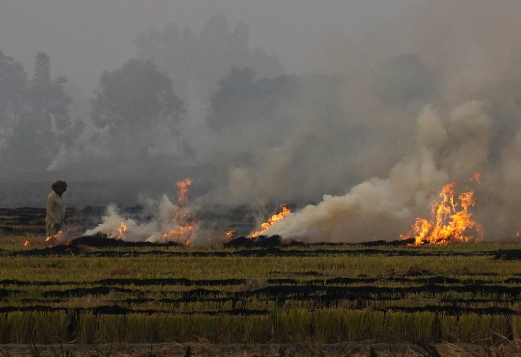 A farmer burns stubble in a rice field amid the ongoing air pollution in the northern state of Punjab, India on November 11. Photo: Reuters A farmer burns stubble in a rice field amid the ongoing air pollution in the northern state of Punjab, India on November 11. Photo: Reuters