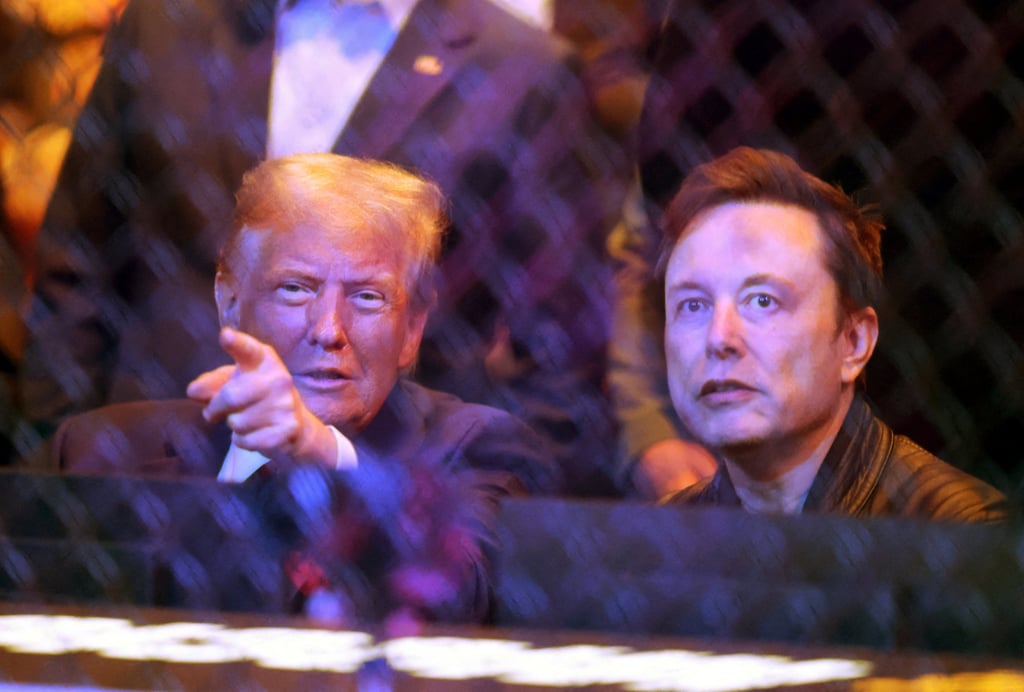 US President-elect Donald Trump and Elon Musk watch a UFC fight in New York. Photo: Brad Penner-Imagn Images via Reuters US President-elect Donald Trump and Elon Musk watch a UFC fight in New York. Photo: Brad Penner-Imagn Images via Reuters