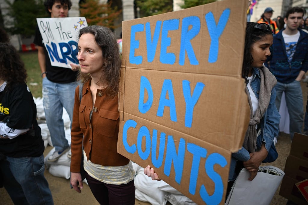 Environmental activists rally to demand climate action before US president-elect Donald Trump takes office, in Washington, on November 17. Photo: AFP
