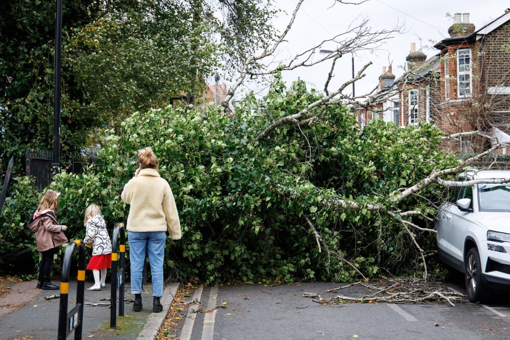 A family looks at a tree that fell on a car across a residential street due to strong winds in East London, Britain on Sunday. Photo: EPA-EFE A family looks at a tree that fell on a car across a residential street due to strong winds in East London, Britain on Sunday. Photo: EPA-EFE
