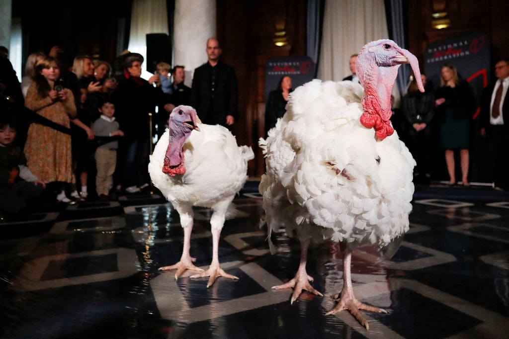 Blossom and Peach, the two turkeys. Photo: Reuters
