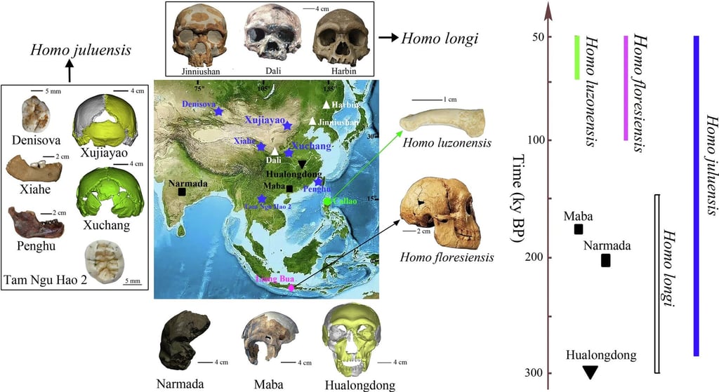 Recent discoveries and new analyses are painting an increasingly complex story of human evolution in China and Southeast Asia. Image: Handout Recent discoveries and new analyses are painting an increasingly complex story of human evolution in China and Southeast Asia. Image: Handout