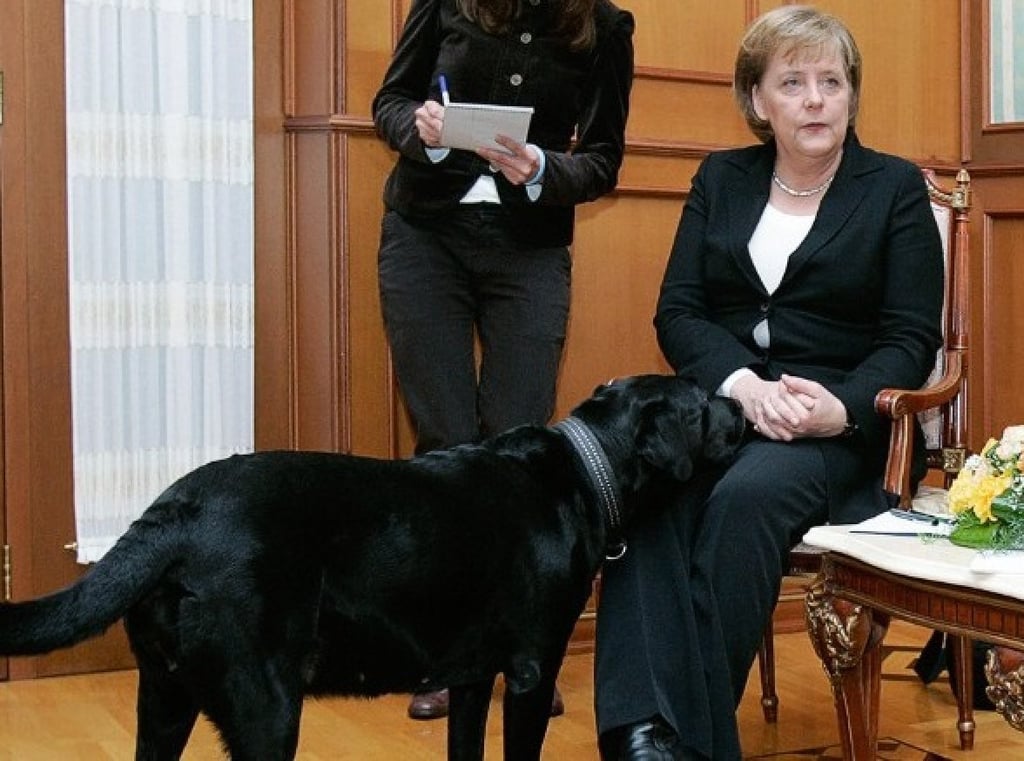 Vladimir Putin’s dog Koni sniffs Angela Merkel. Photo: AFP Vladimir Putin’s dog Koni sniffs Angela Merkel. Photo: AFP