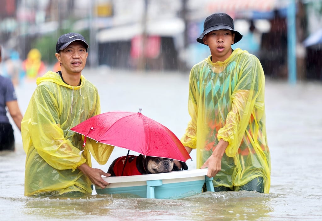 Thai residents carrying a basin with a dog inside wade through water at a flooded street during a downpour in central Yala, southern Thailand, on Thursday. Photo: EPA-EFE