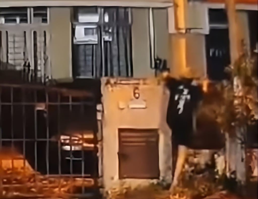 A man scales a fence outside a home in Bukit Indah in this still from surveillance footage shared on social media. Photo: Facebook/jackson.chong.963