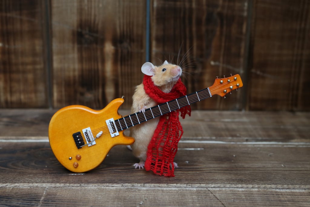 Those born in the Year of the Rat are highly creative. Photo: Shutterstock Those born in the Year of the Rat are highly creative. Photo: Shutterstock