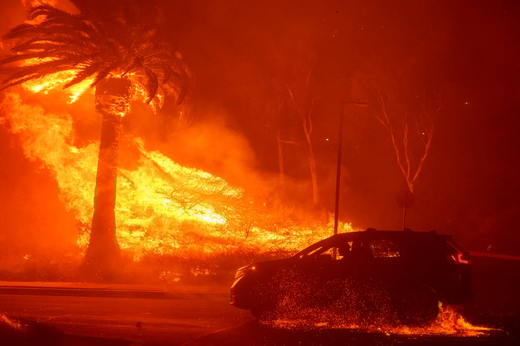 Thousands told to flee as raging wildfire tears through California's Malibu  | South China Morning Post
