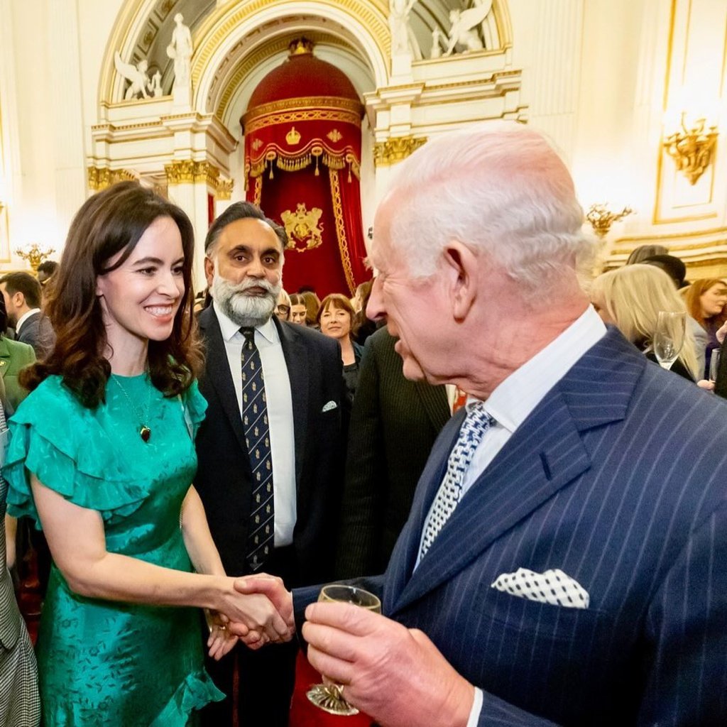 Sally Humphreys meeting King Charles at Buckingham Palace in November. Photo: @sallywood1/Instagram