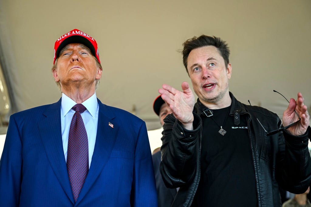 US President-elect Donald Trump and Elon Musk in November. Photo: AP