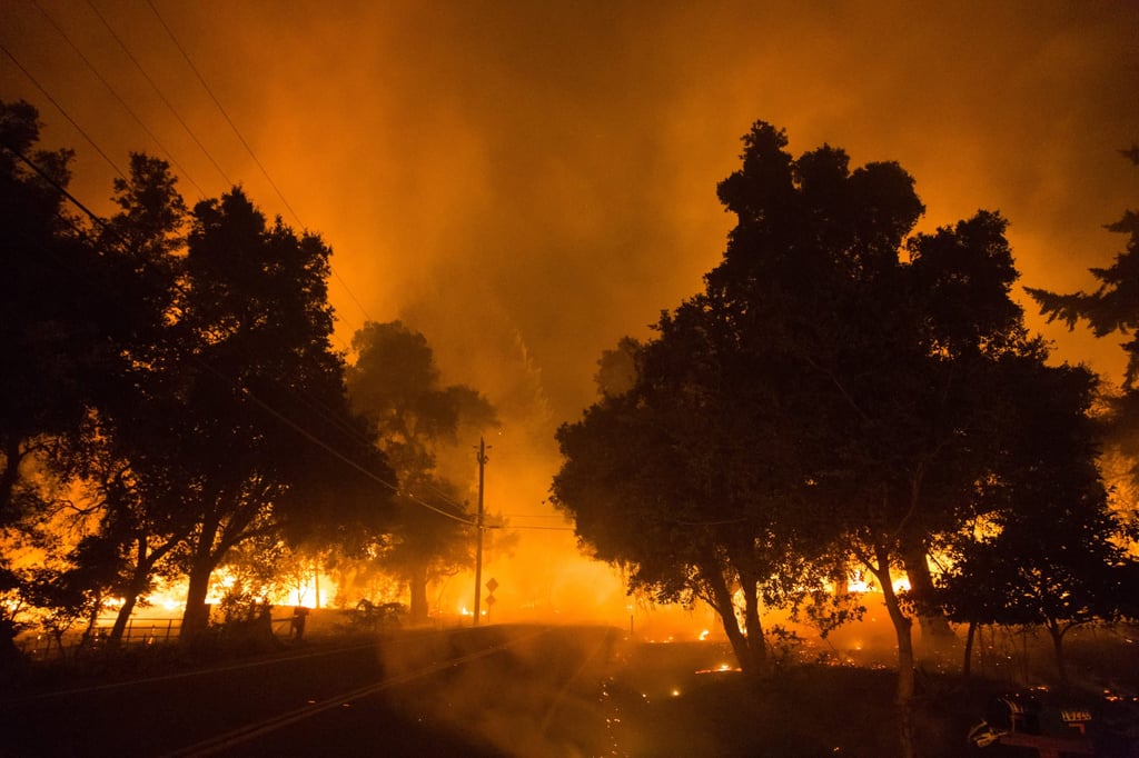 On August 16, 2020, lightning strikes started a fire that blackened 350 square kilometres in and around Big Basin Redwoods State Park. On August 16, 2020, lightning strikes started a fire that blackened 350 square kilometres in and around Big Basin Redwoods State Park.