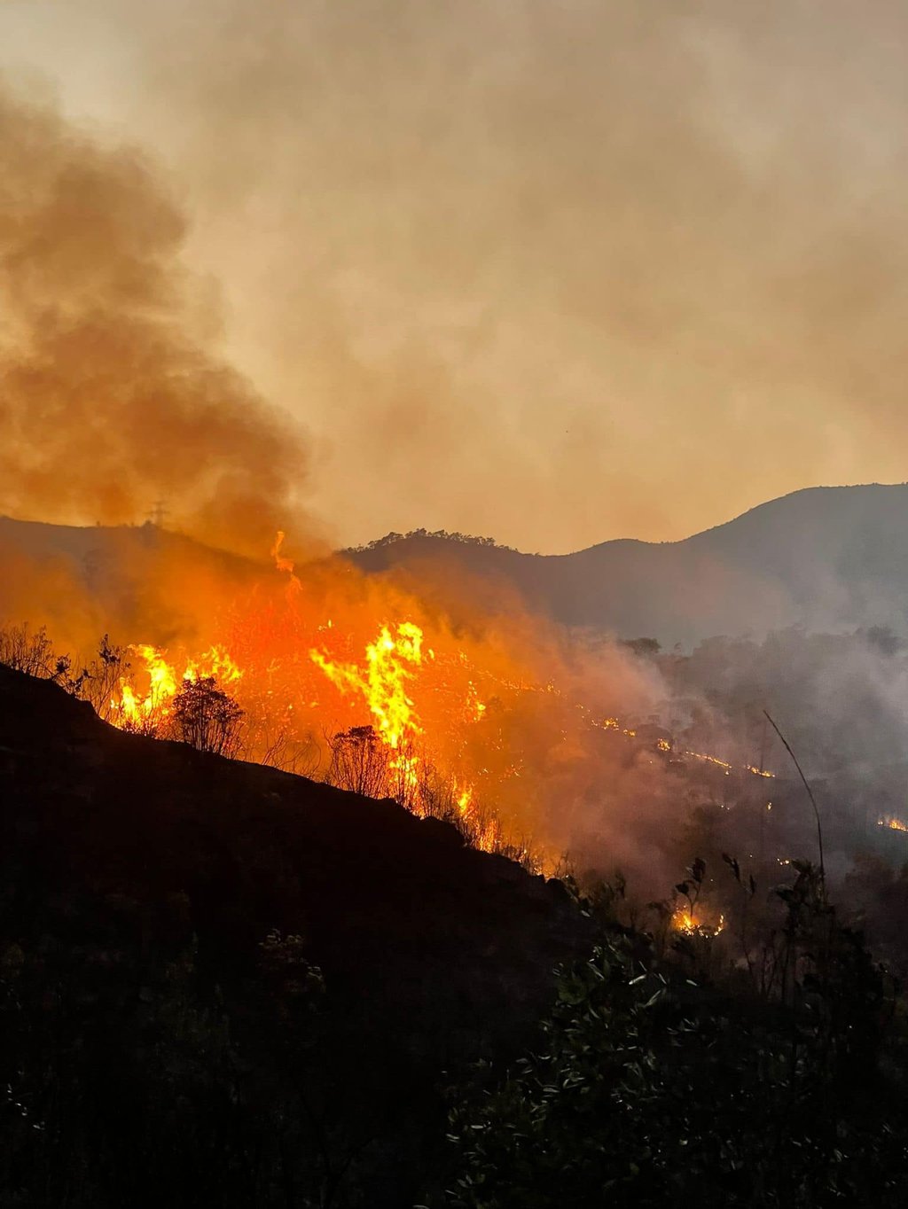 The Observatory earlier predicted conditions would be fine and dry, while “moderate” winds were also expected. Photo: Facebook / @ Fire Service Department The Observatory earlier predicted conditions would be fine and dry, while “moderate” winds were also expected. Photo: Facebook / @ Fire Service Department