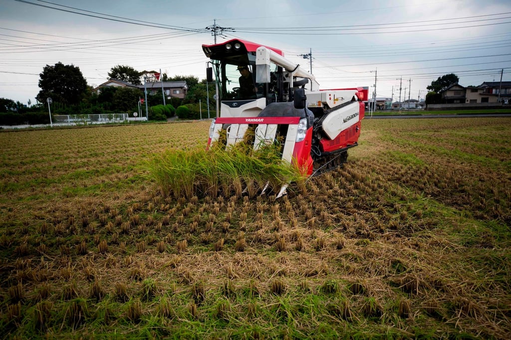 A Japanese farmer harvests rice in Kazo, Saitama prefecture. Analysts warn that record high temperatures pose a risk to crops in Japan. Photo: AFP A Japanese farmer harvests rice in Kazo, Saitama prefecture. Analysts warn that record high temperatures pose a risk to crops in Japan. Photo: AFP