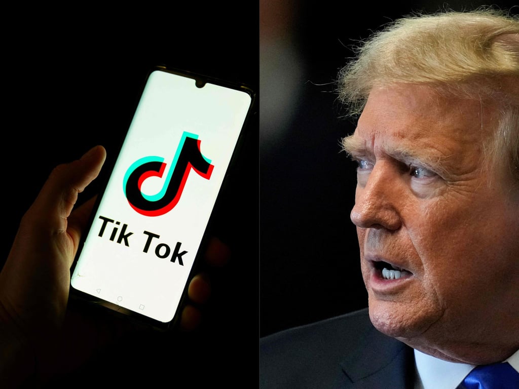US president-elect Trump has argued against the ‘divest-or-be banned’ law. Photos: Various sources/AFP US president-elect Trump has argued against the ‘divest-or-be banned’ law. Photos: Various sources/AFP