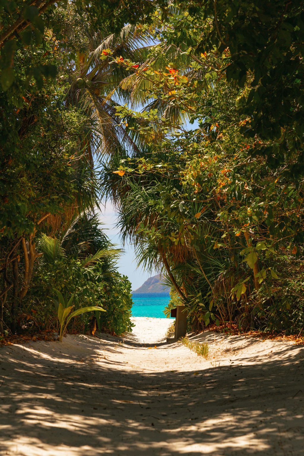 A pathway to the beach from one of the villas at Amanpulo. Photo: Handout A pathway to the beach from one of the villas at Amanpulo. Photo: Handout