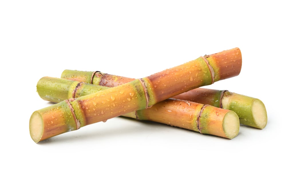 Tech giant Tencent saw fit to present their staff with pieces of sugar cane. Photo: Shutterstock Tech giant Tencent saw fit to present their staff with pieces of sugar cane. Photo: Shutterstock