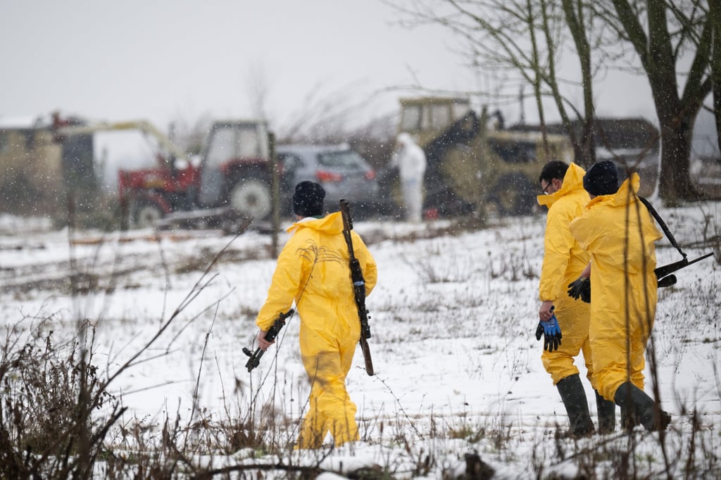 Workers in protective clothing inspect a farm where foot-and-mouth disease has been detected in the east German state of Brandenburg. Photo: dpa Workers in protective clothing inspect a farm where foot-and-mouth disease has been detected in the east German state of Brandenburg. Photo: dpa