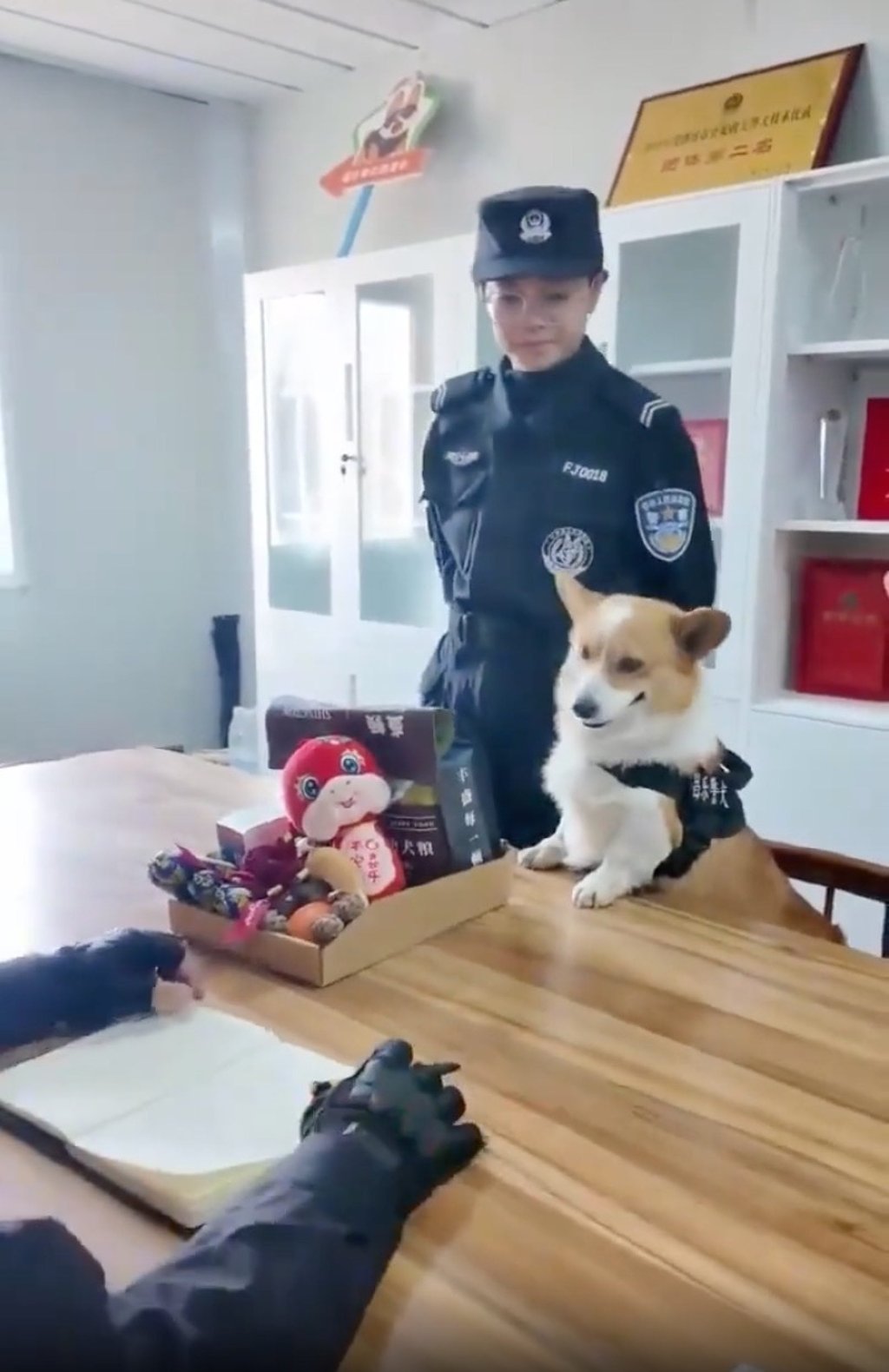 Under the watchful eye of a woman officer, Fuzai is told about the loss of his “bonus”. Photo: Douyin