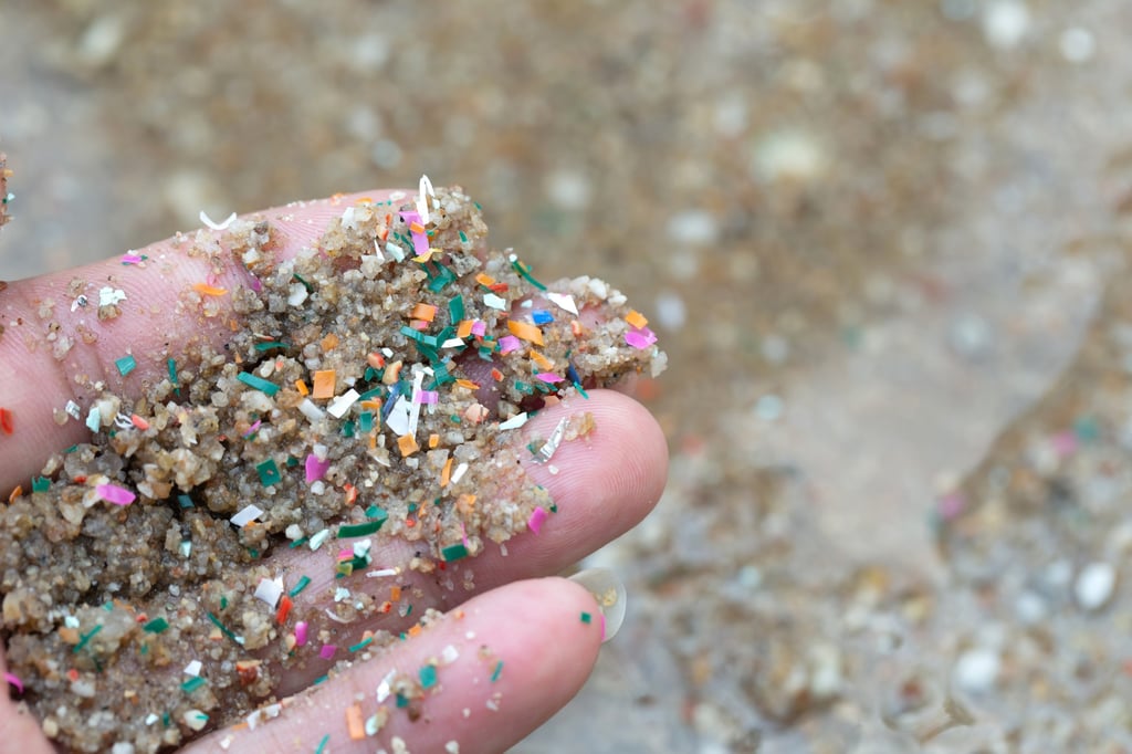 Microplastics are smaller than 5mm (0.2 inches), while nanoplastics are too tiny to be seen by the human eye. They have been found in many parts of the human body, from lungs to blood, and the placenta. Photo: Shutterstock
