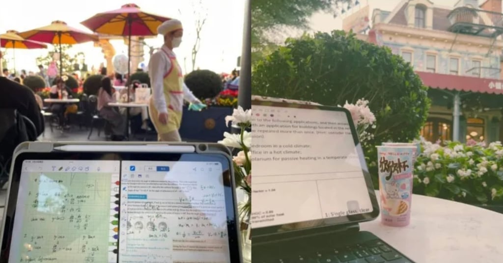 Young individuals shared experiences studying at Shanghai and Hong Kong Disneyland, combining study with fun ride breaks. Photo: RedNote