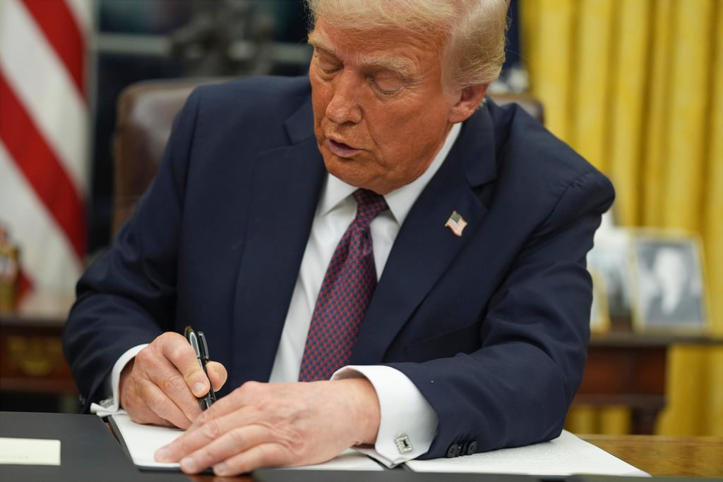 US President Donald Trump signing an executive order on birthright citizenship on January 20. Photo: AP