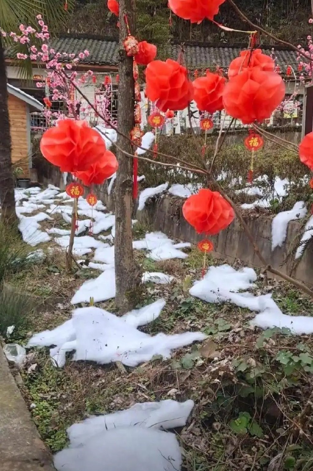 https://img.i-scmp.com/cdn-cgi/image/fit=contain,width=1024,format=auto/sites/default/files/d8/images/canvas/2025/02/13/fd81ea1a-e50e-4558-9cb6-c9e05099043e_6c7b1a91.jpg