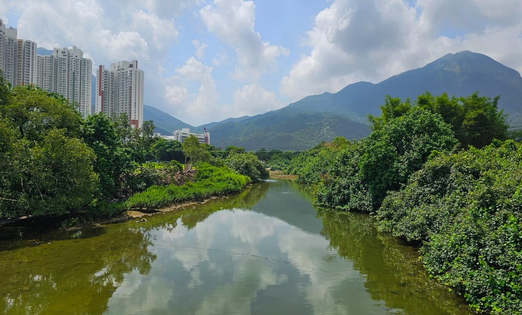 Tung Chung’s mangroves are the focus of an eco-tour organised by the Hong Kong Arts Festival. Photo: Courtesy of Hong Kong Arts Festival Tung Chung’s mangroves are the focus of an eco-tour organised by the Hong Kong Arts Festival. Photo: Courtesy of Hong Kong Arts Festival