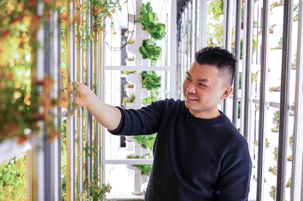 Ray Lok, co-founder and CEO of Full Nature Farms, at the vertical farm his company operates in Kwai Chung.
