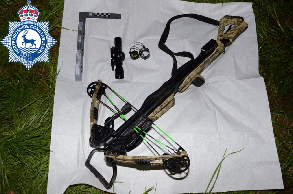 The crossbow used by Kyle Clifford is shown in a police handout image. Photo: Hertfordshire Police via AP