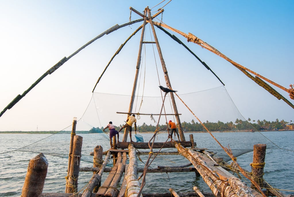 A system of weighted bamboo and teak poles support fishing nets believed to have been introduced by the Chinese. Photo: Shutterstock