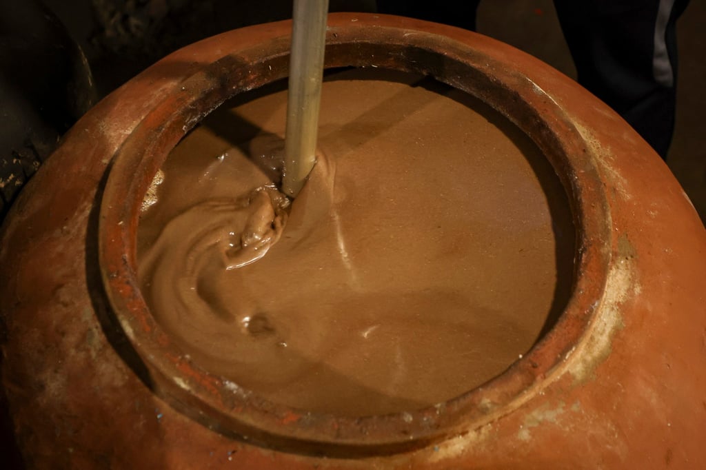 Sardines ferment to produce fish sauce in a village home in Nam O, Da Nang. Photo: AP Sardines ferment to produce fish sauce in a village home in Nam O, Da Nang. Photo: AP