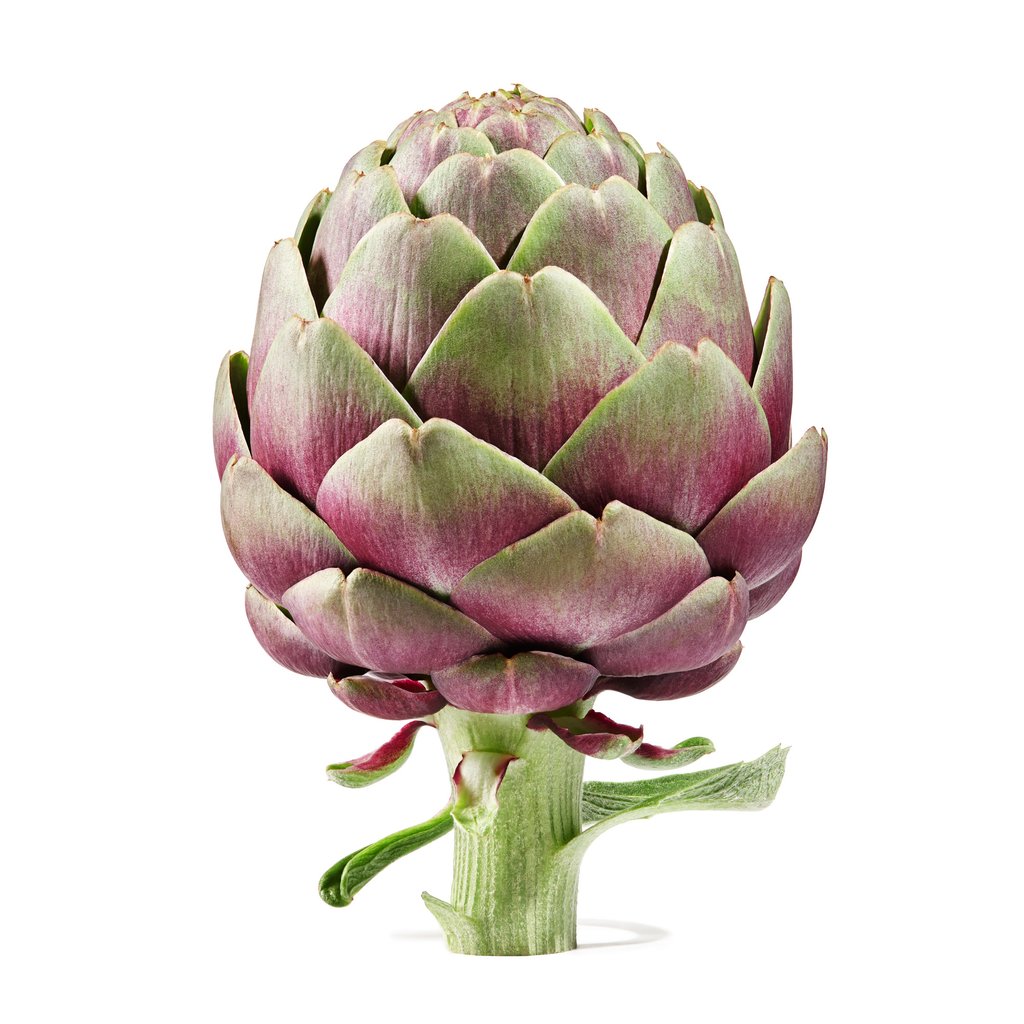 To the uninitiated, the humble artichoke can seem both mystical and intimidating. Photo: Shutterstock To the uninitiated, the humble artichoke can seem both mystical and intimidating. Photo: Shutterstock