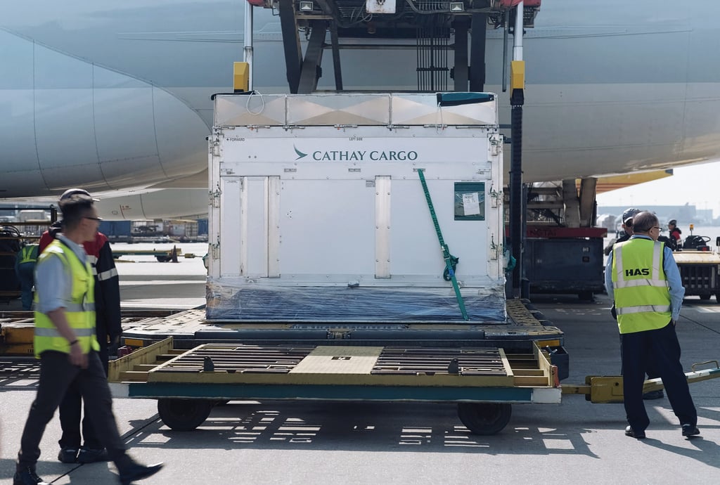 Cathay Cargo has decades of experience in transporting horses. Cathay Cargo has decades of experience in transporting horses.