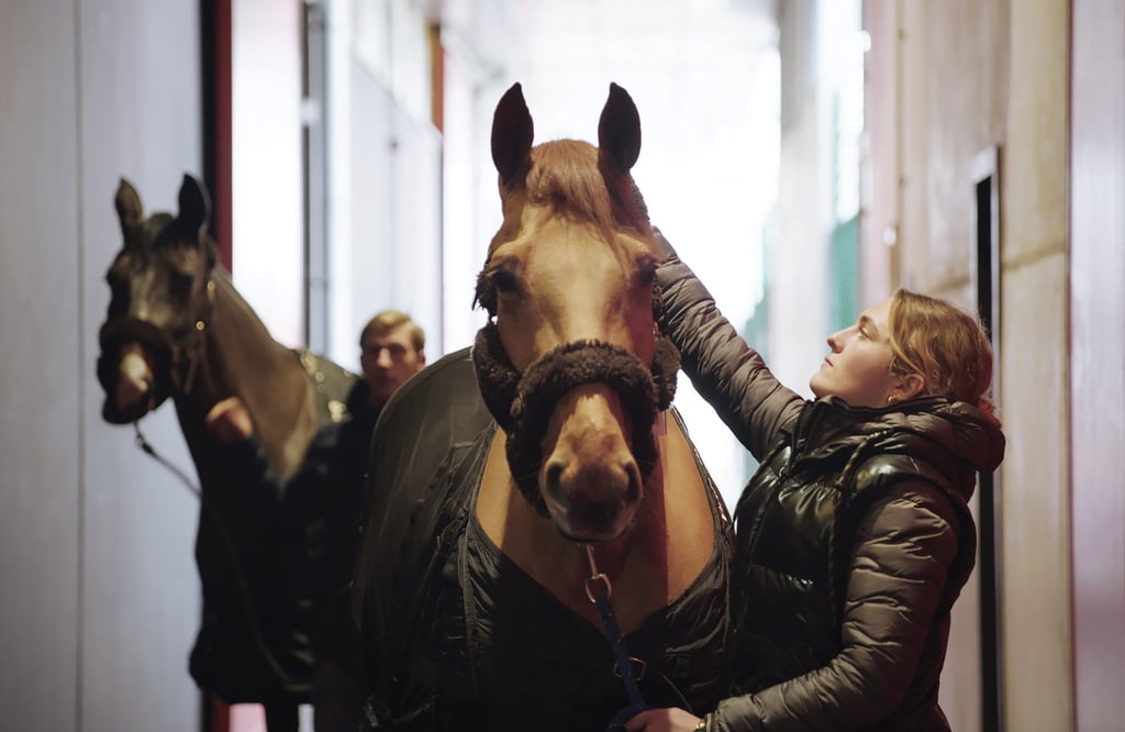 Cathay Cargo transported 65 horses from across the world for the Hong Kong International Horse Show in February. Cathay Cargo transported 65 horses from across the world for the Hong Kong International Horse Show in February.