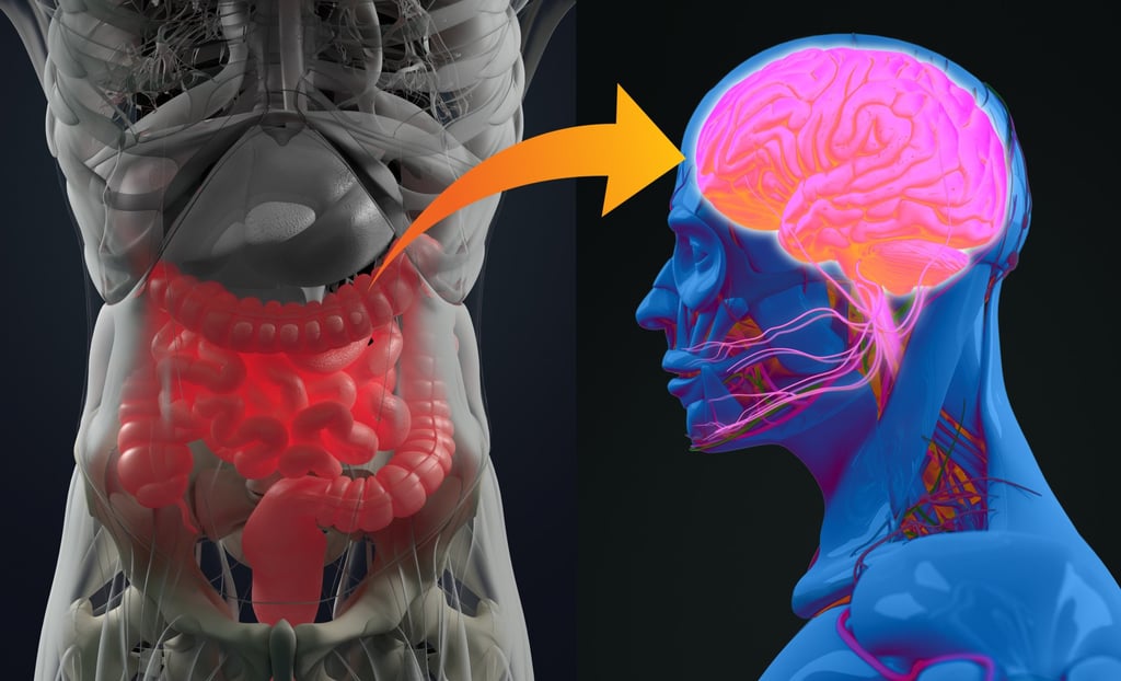 Your gut microbiome plays a vital role in your mental health. If there are imbalances, your gut sends signals to your brain, and this may trigger mood changes. Photo: Shutterstock