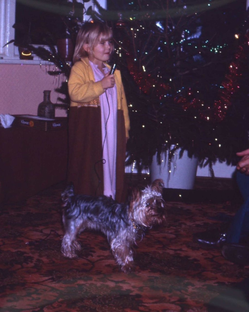 Sara Parker Bowles – then Sara Buys – at age seven with her Yorkshire terrier, Brutus. Photo: @saraparkerbowles/Instagram Sara Parker Bowles – then Sara Buys – at age seven with her Yorkshire terrier, Brutus. Photo: @saraparkerbowles/Instagram