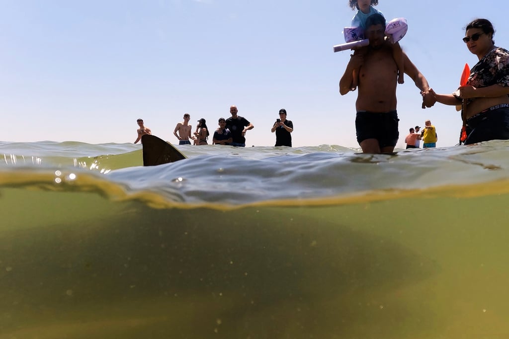 A shark swims past people in Mediterranean Sea in Hadera, Israel, on Saturday. (Photo: AP)