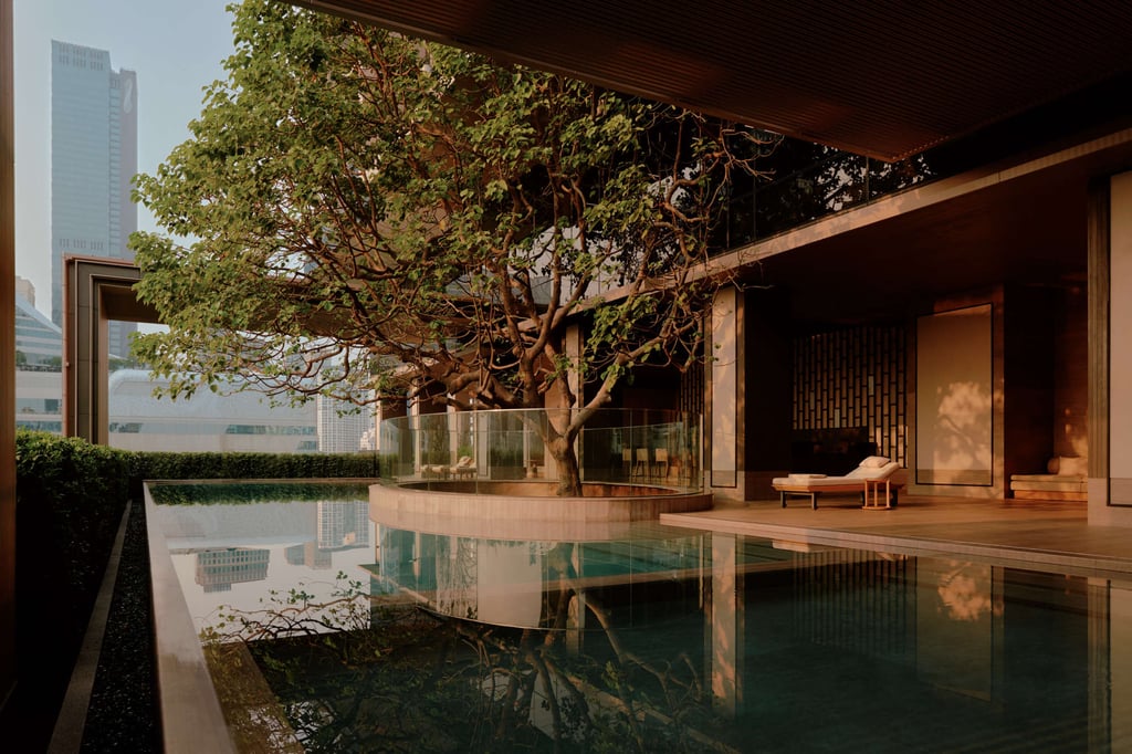 The ninth-floor swimming pool is shaded by a tree rising all the way up from the ground floor. Photo: Handout The ninth-floor swimming pool is shaded by a tree rising all the way up from the ground floor. Photo: Handout