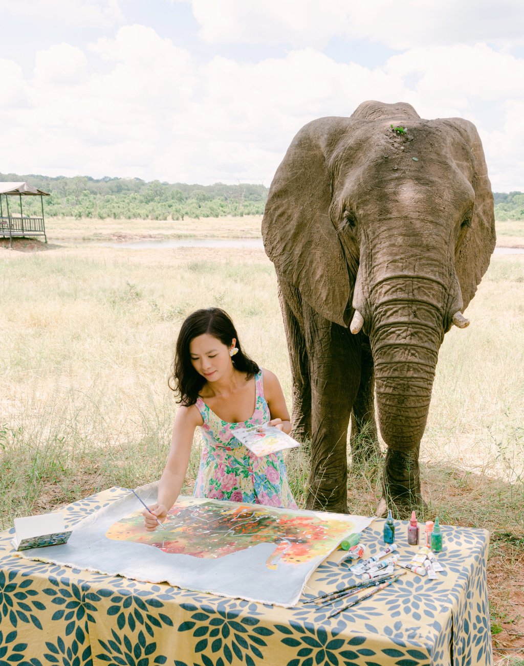 Tse paints elephants in Zimbabwe in March. Photo: Sarah Tse Tse paints elephants in Zimbabwe in March. Photo: Sarah Tse