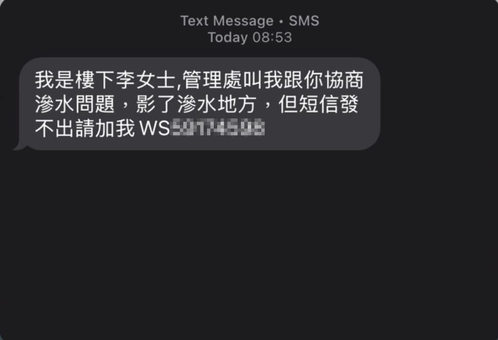 A screenshot of one of the scam text messages. Photo: Handout
