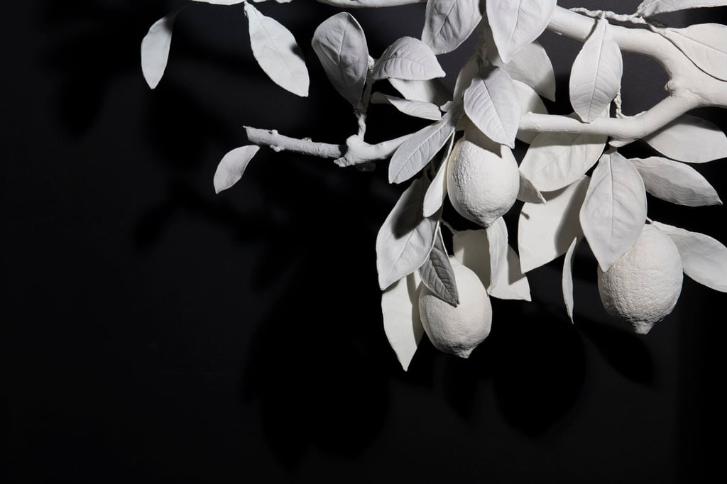 The raw materials for Il y Avait un Jardin originate from orchards in Italy, and are sourced through a partnership with a Calabrian family famed for its citrus trees. Photo: Handout The raw materials for Il y Avait un Jardin originate from orchards in Italy, and are sourced through a partnership with a Calabrian family famed for its citrus trees. Photo: Handout