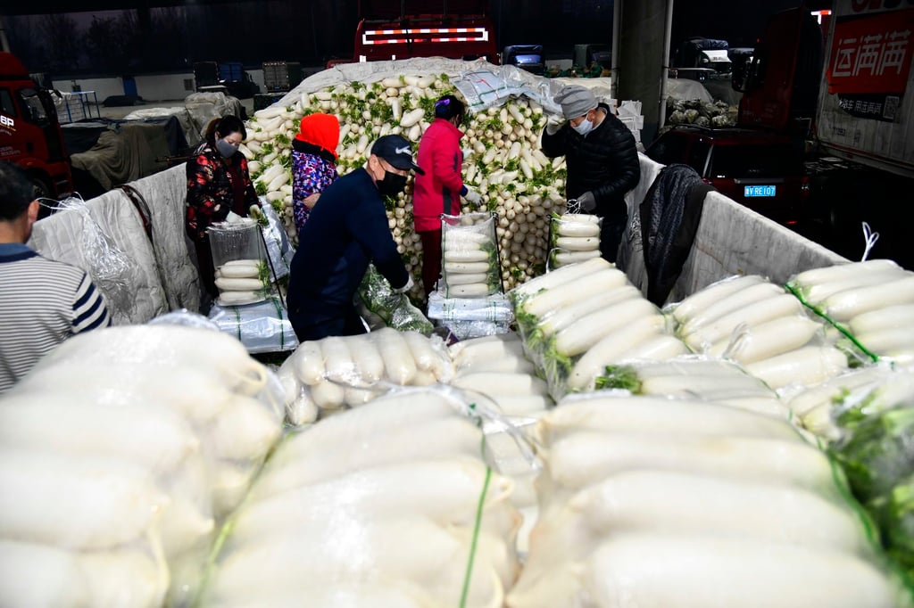 China’s expertise in desert farming will be applied to the United Arab Emirates with the construction of a new agricultural technology centre. Photo: Xinhua China’s expertise in desert farming will be applied to the United Arab Emirates with the construction of a new agricultural technology centre. Photo: Xinhua