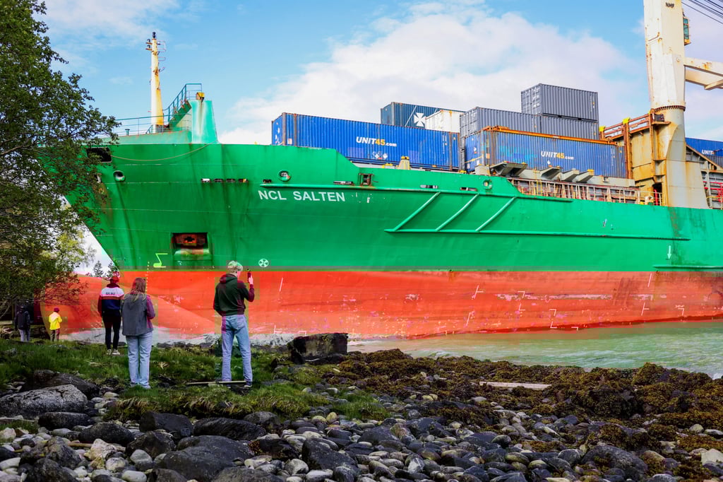People stand near the container ship thatalmost hit a house, in Trondheim. Photo: via Reuters People stand near the container ship thatalmost hit a house, in Trondheim. Photo: via Reuters