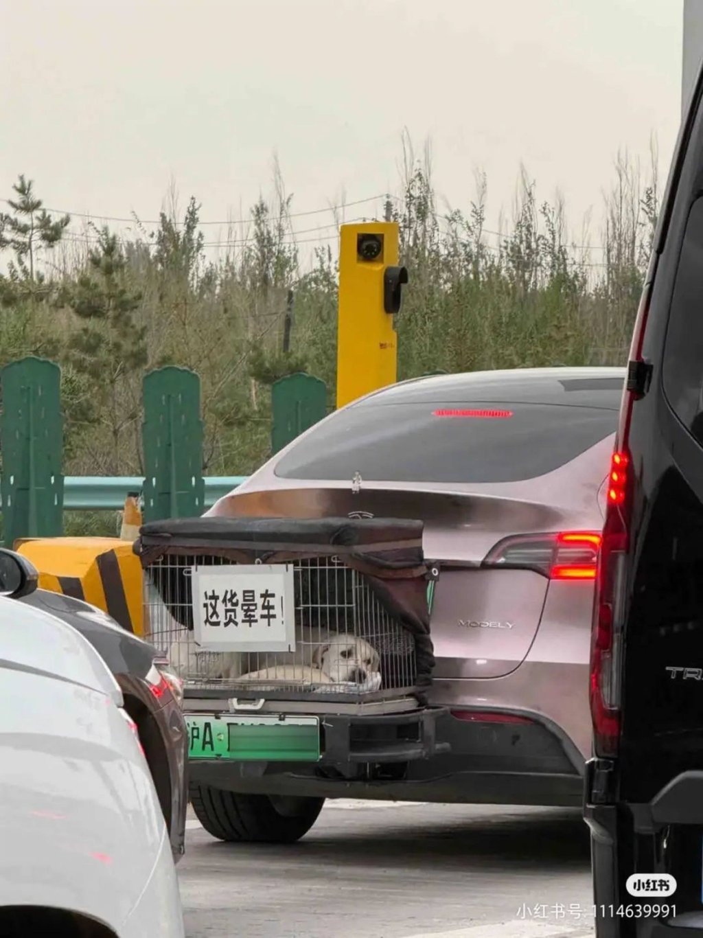 To solve Mimi’s carsick problem, Hao commissioned a custom cage, which he securely mounted to the back of his Tesla and found that the dog was significantly more comfortable travelling in the fresh air. Photo: Baidu To solve Mimi’s carsick problem, Hao commissioned a custom cage, which he securely mounted to the back of his Tesla and found that the dog was significantly more comfortable travelling in the fresh air. Photo: Baidu