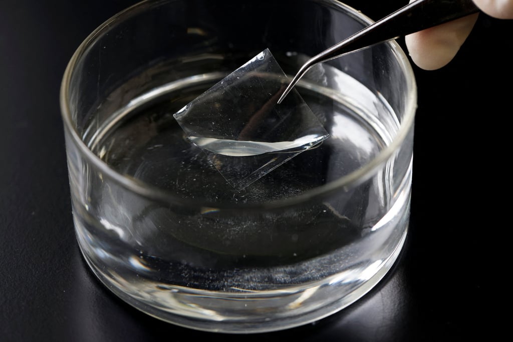 A researcher shows a sample of ocean-degradable plastic being immersed in saltwater at the Riken Centre for Emergent Matter Science. Photo: Reuters A researcher shows a sample of ocean-degradable plastic being immersed in saltwater at the Riken Centre for Emergent Matter Science. Photo: Reuters