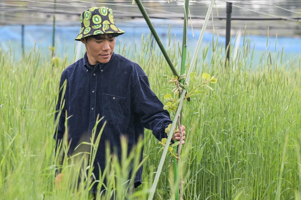 Haraguchi, from Osaka, was 11 when the 2011 Tohoku earthquake and tsunami caused a meltdown at the Fukushima Daiichi nuclear power plant. Photo: AFP Haraguchi, from Osaka, was 11 when the 2011 Tohoku earthquake and tsunami caused a meltdown at the Fukushima Daiichi nuclear power plant. Photo: AFP