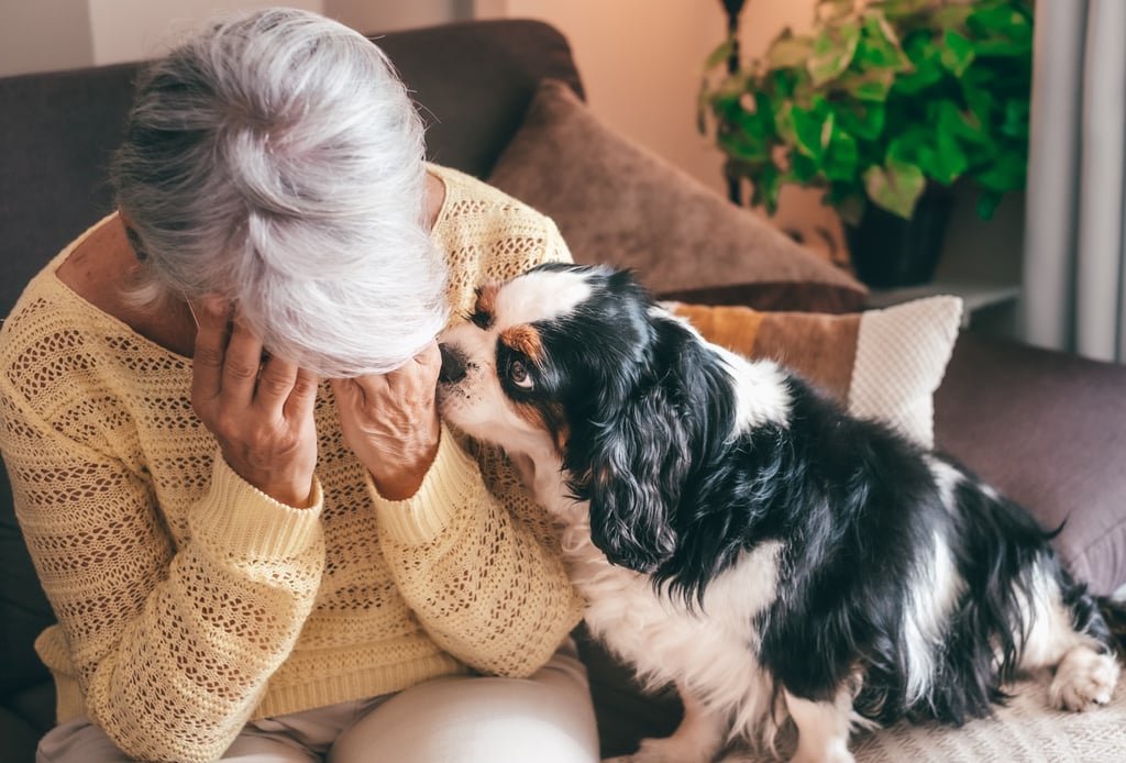 Even after having trouble calling her dog, and feeling numbness in her hand, Kristin Kramer did not realise she was having a mini stroke – and did not seek immediate help. Photo: Shutterstock Even after having trouble calling her dog, and feeling numbness in her hand, Kristin Kramer did not realise she was having a mini stroke – and did not seek immediate help. Photo: Shutterstock