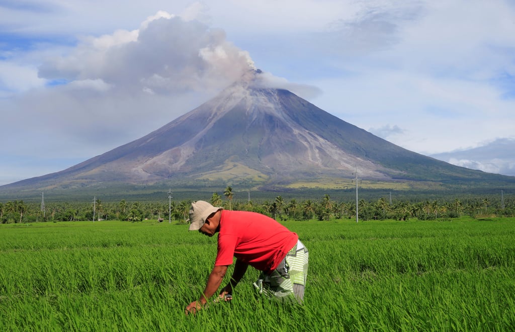 A farmer works on a rice farm in Daraga, Albay province, in the Philippines. A new report has slammed decades of government under-investment in agriculture. Photo: Reuters A farmer works on a rice farm in Daraga, Albay province, in the Philippines. A new report has slammed decades of government under-investment in agriculture. Photo: Reuters