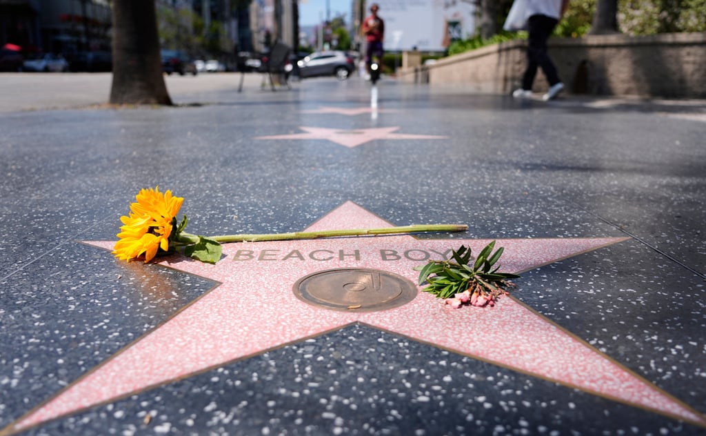 A sunflower on the Beach Boys’ star on the Hollywood Walk of Fame in Los Angeles. Photo: AP